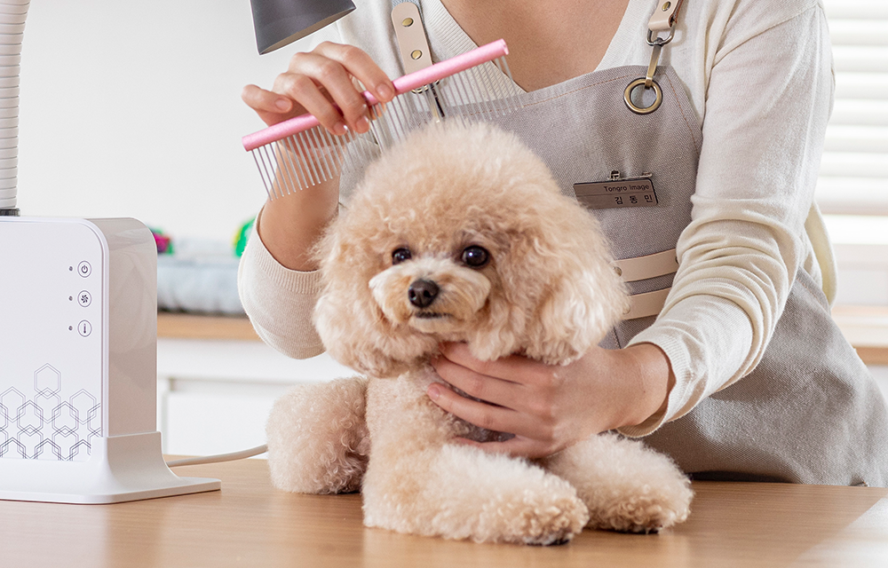 모바일-메인-슬라이드-01