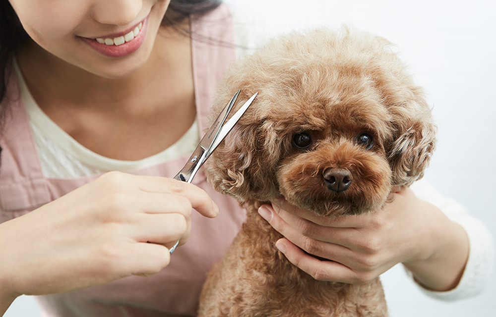 모바일-메인-슬라이드-01