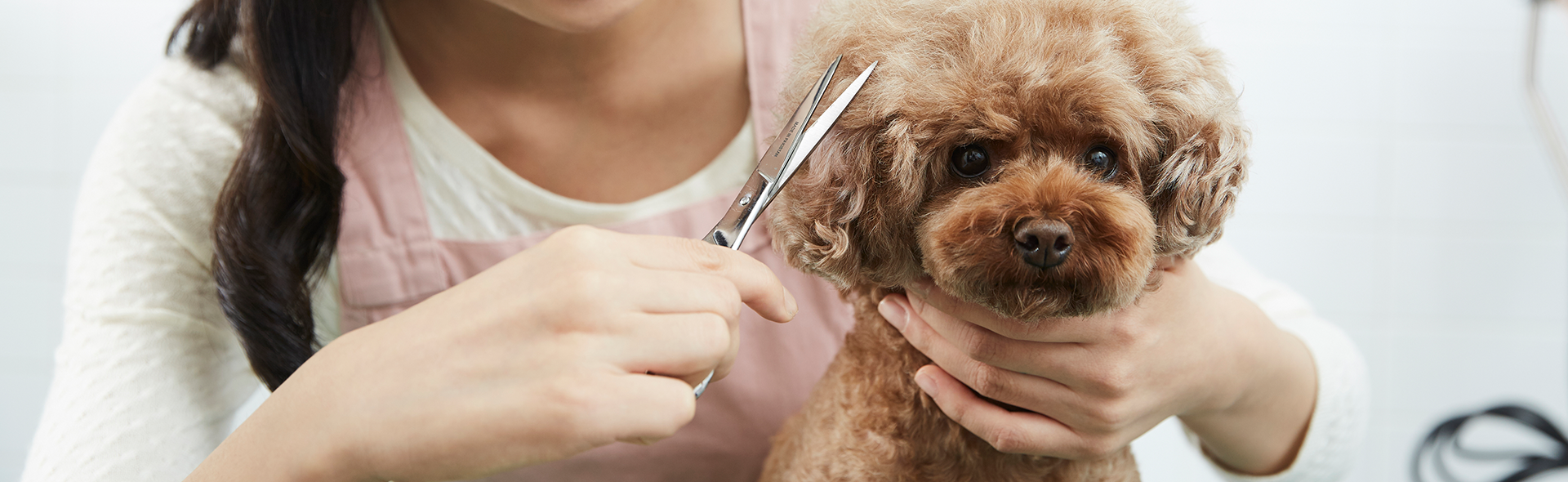 메인-슬라이드-02